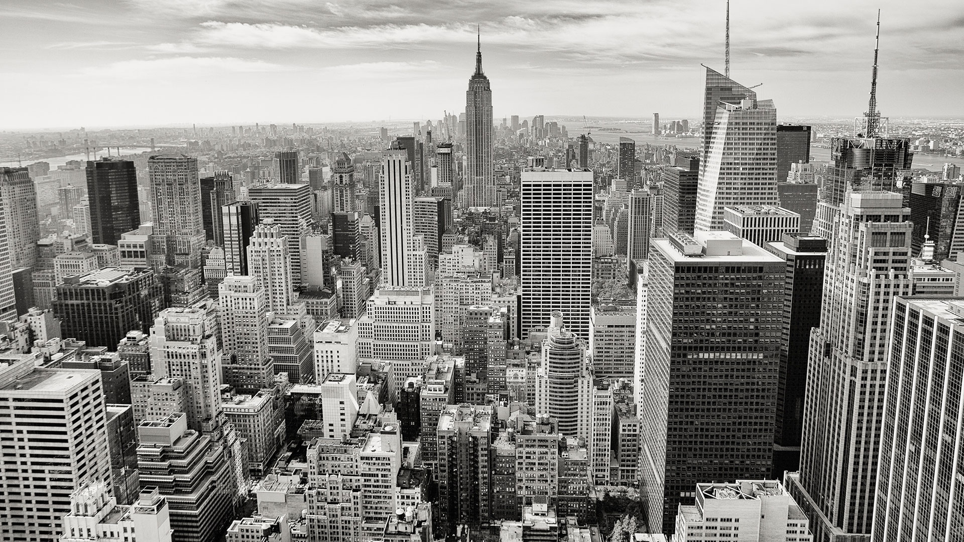 Urban Vine Mgmt NYC